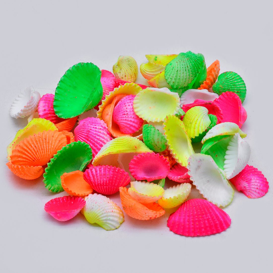 Vibrant Colored Scallop Shells – Assorted Craft Shell Mix