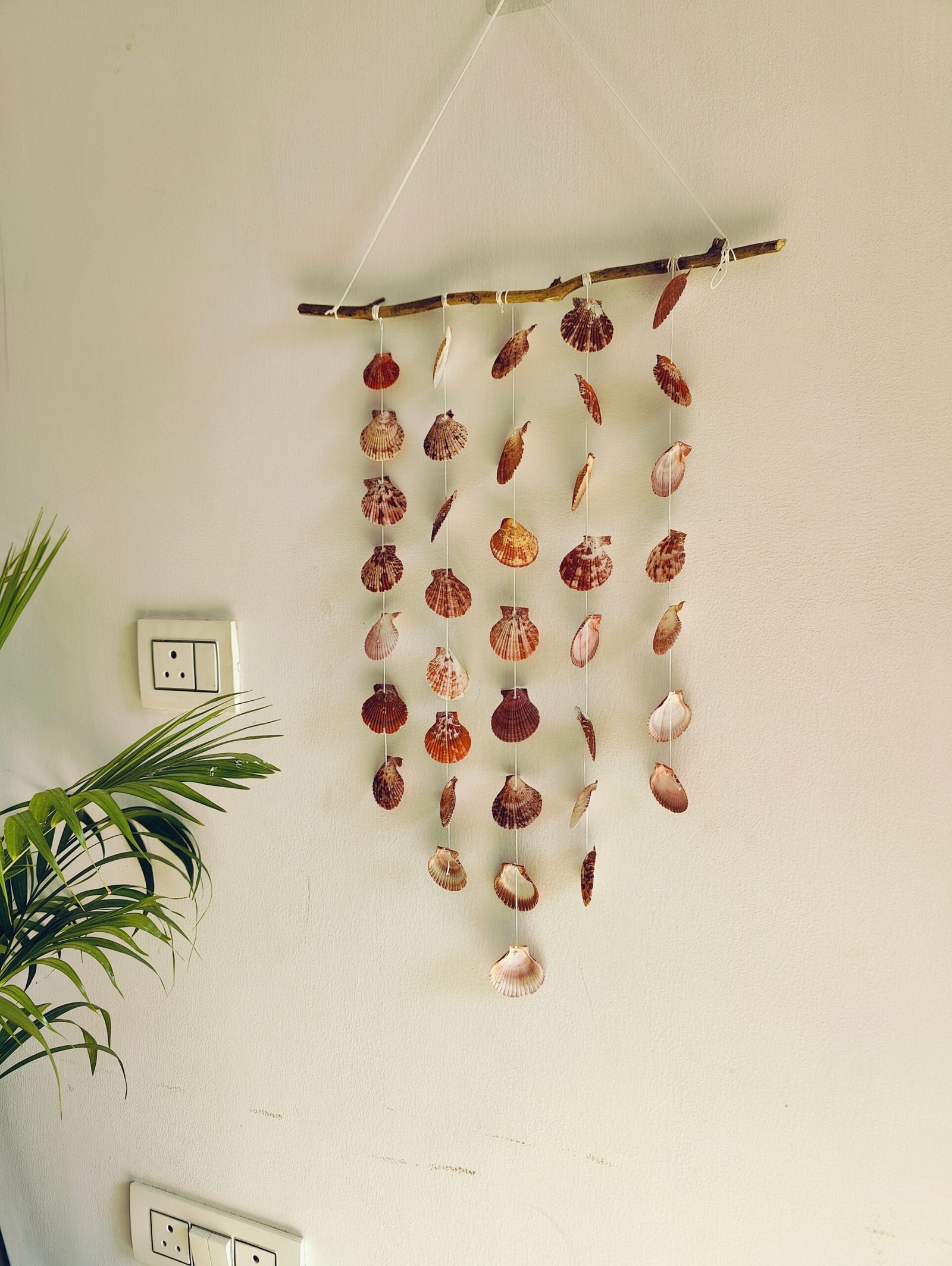 Natural Sea Shell Wall Hanging Décor – Boho Coastal Charm