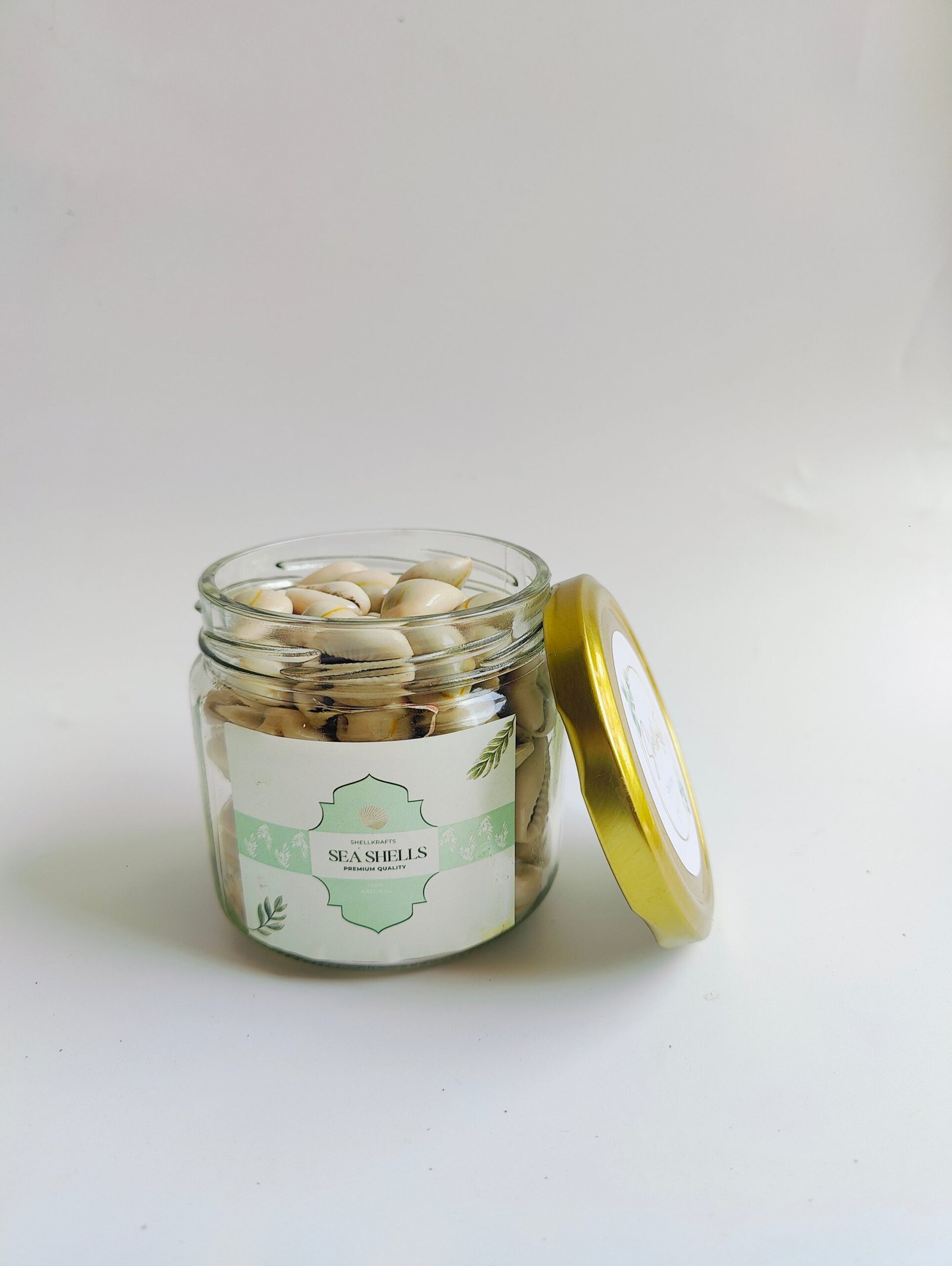 Natural Cowrie Shells – Premium Handpicked Sea Shells for Crafts, Jewelry & Decor